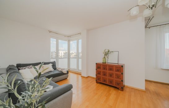 Oferta 123/12195/OMS