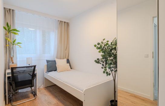 Oferta 137/12195/OMS