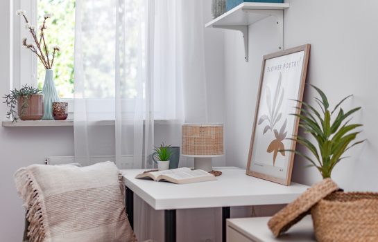 Oferta 150/12195/OMS