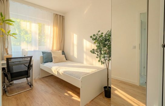 Oferta 162/12195/OMS