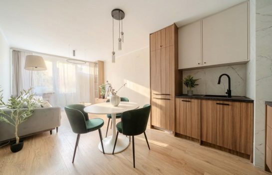 Oferta 163/12195/OMS